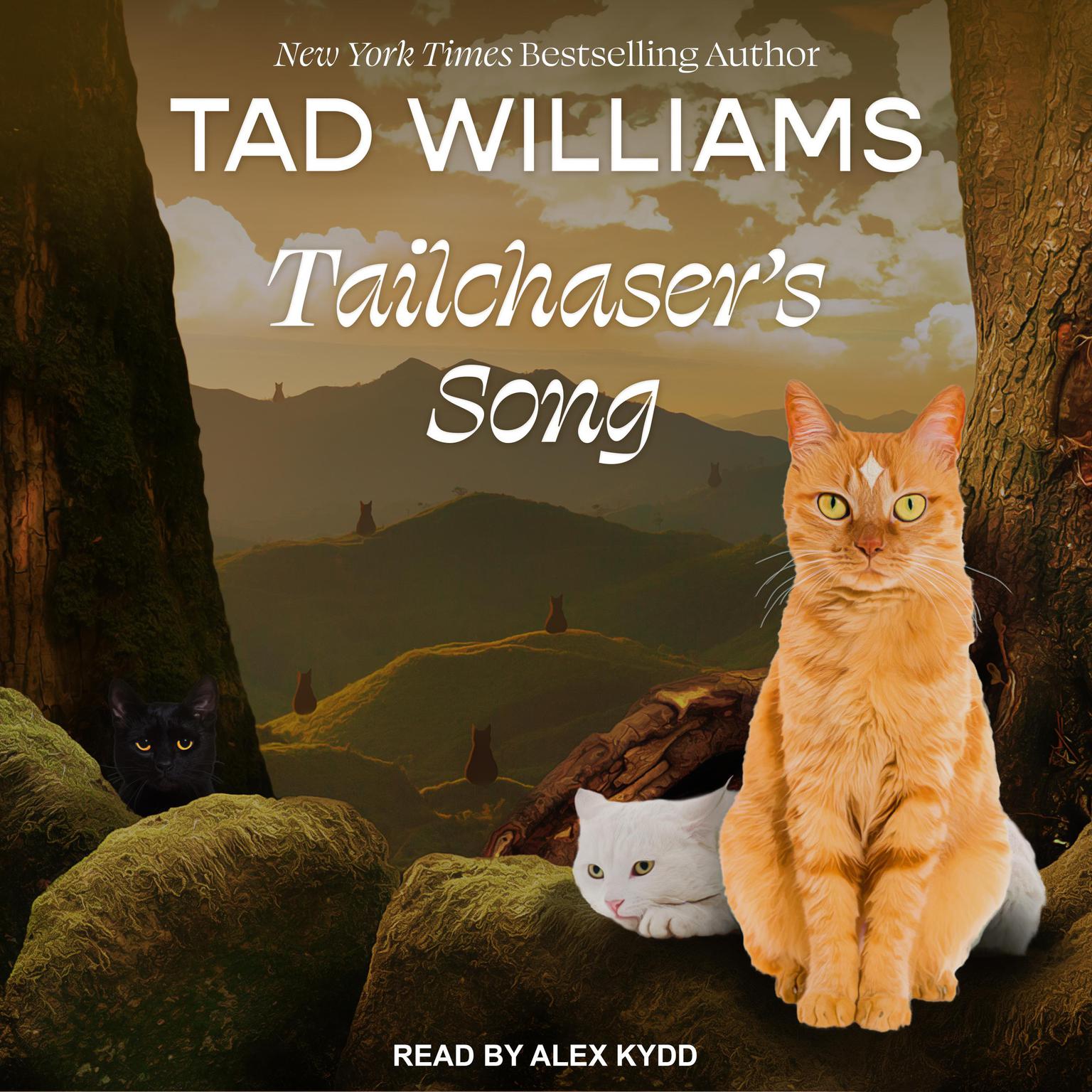 Tailchasers Song Audiobook, by Tad Williams