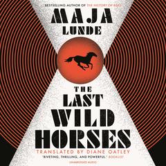 The Last Wild Horses Audiobook, by Rob Shapiro