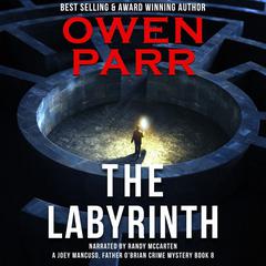 The Labyrinth Audiobook, by Owen Parr