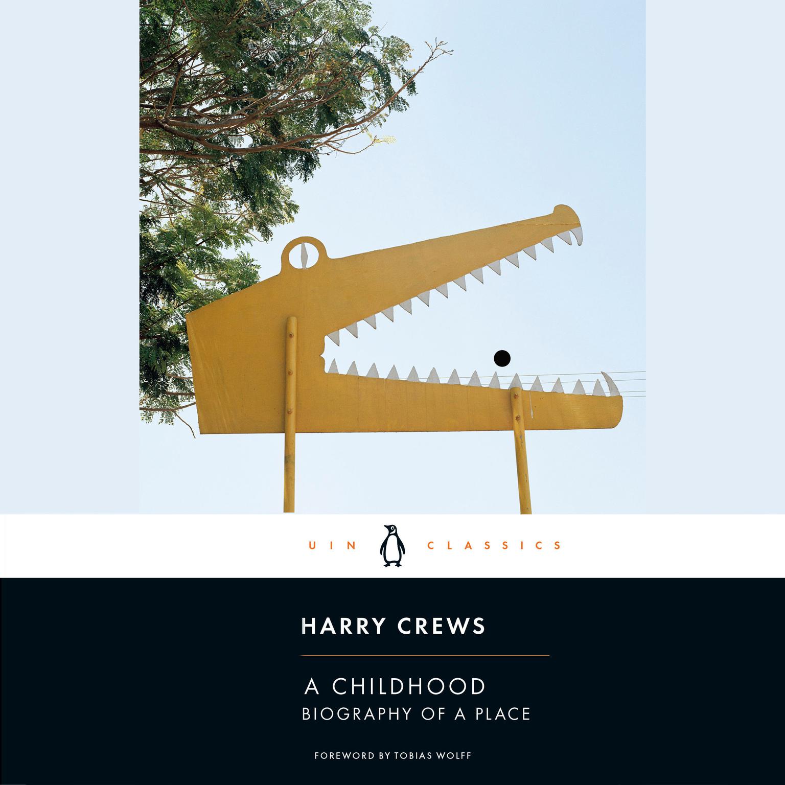 A Childhood: The Biography of a Place Audiobook, by Harry Crews