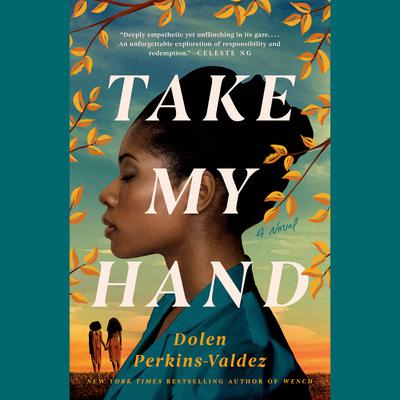 Take My Hand Audiobook, by Dolen Perkins-Valdez