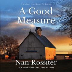 A Good Measure: A Novel Audiobook, by Nan Rossiter