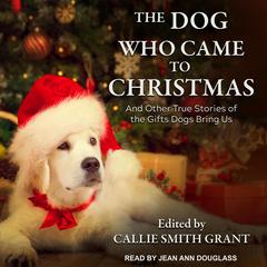 The Dog Who Came to Christmas: And Other True Stories of the Gifts Dogs Bring Us Audiobook, by Callie Smith Grant