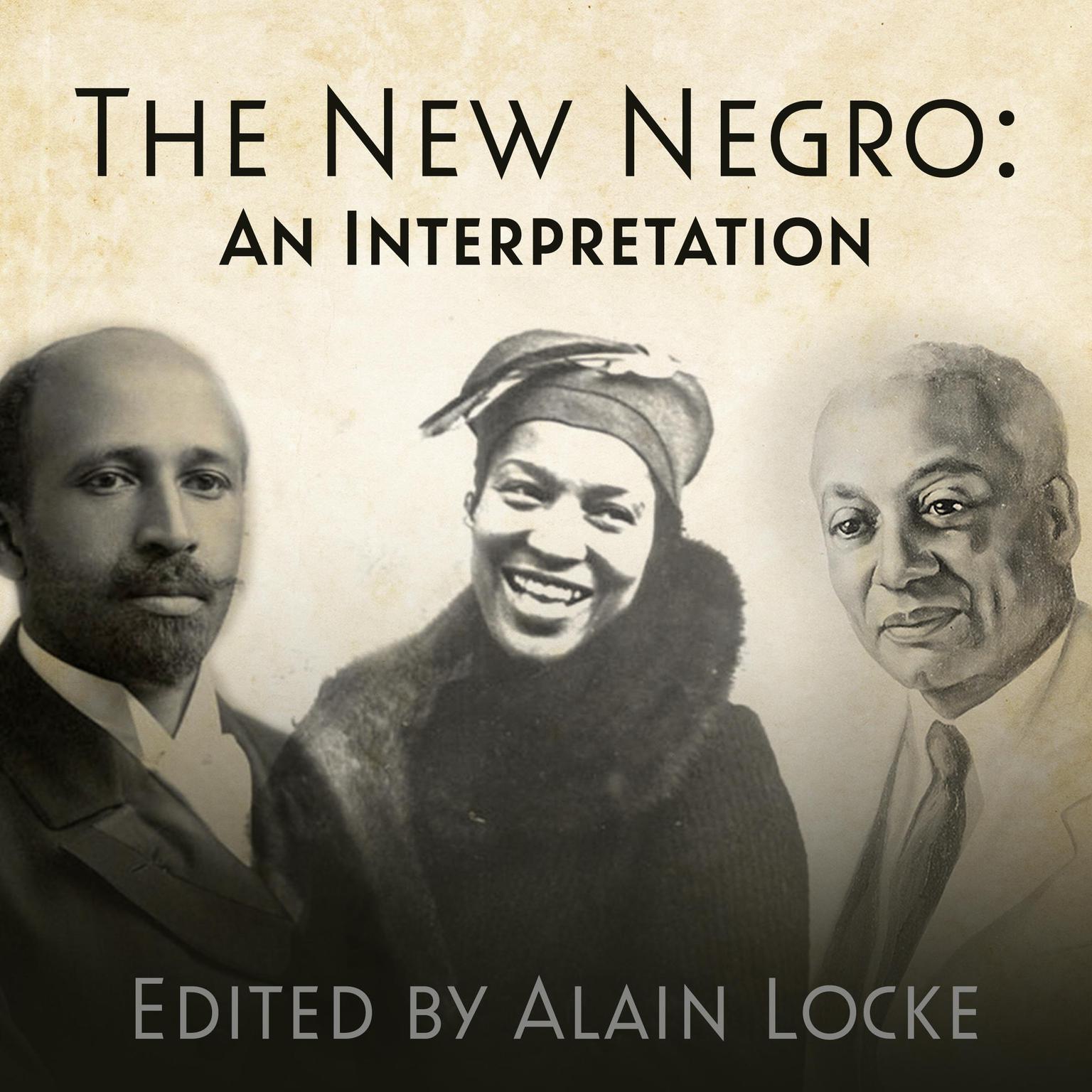 The New Negro: An Interpretation Audiobook, by Alain Locke