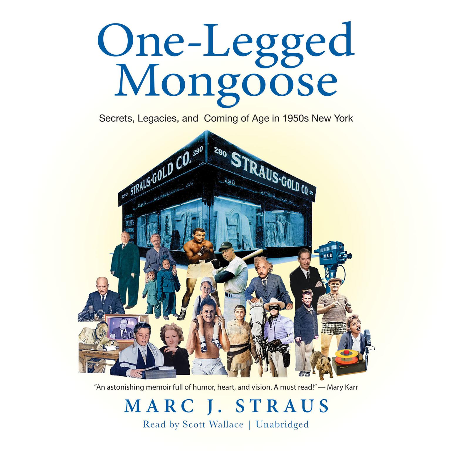 One-Legged Mongoose: Secrets, Legacies, and Coming of Age in 1950s New York Audiobook, by Marc J. Straus