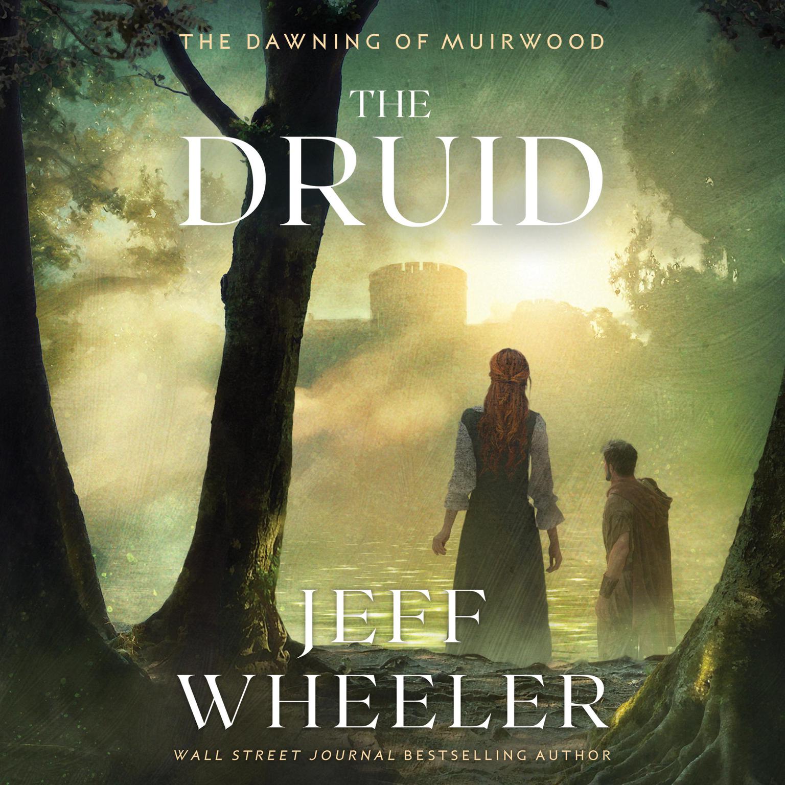 The Druid Audiobook, by Jeff Wheeler