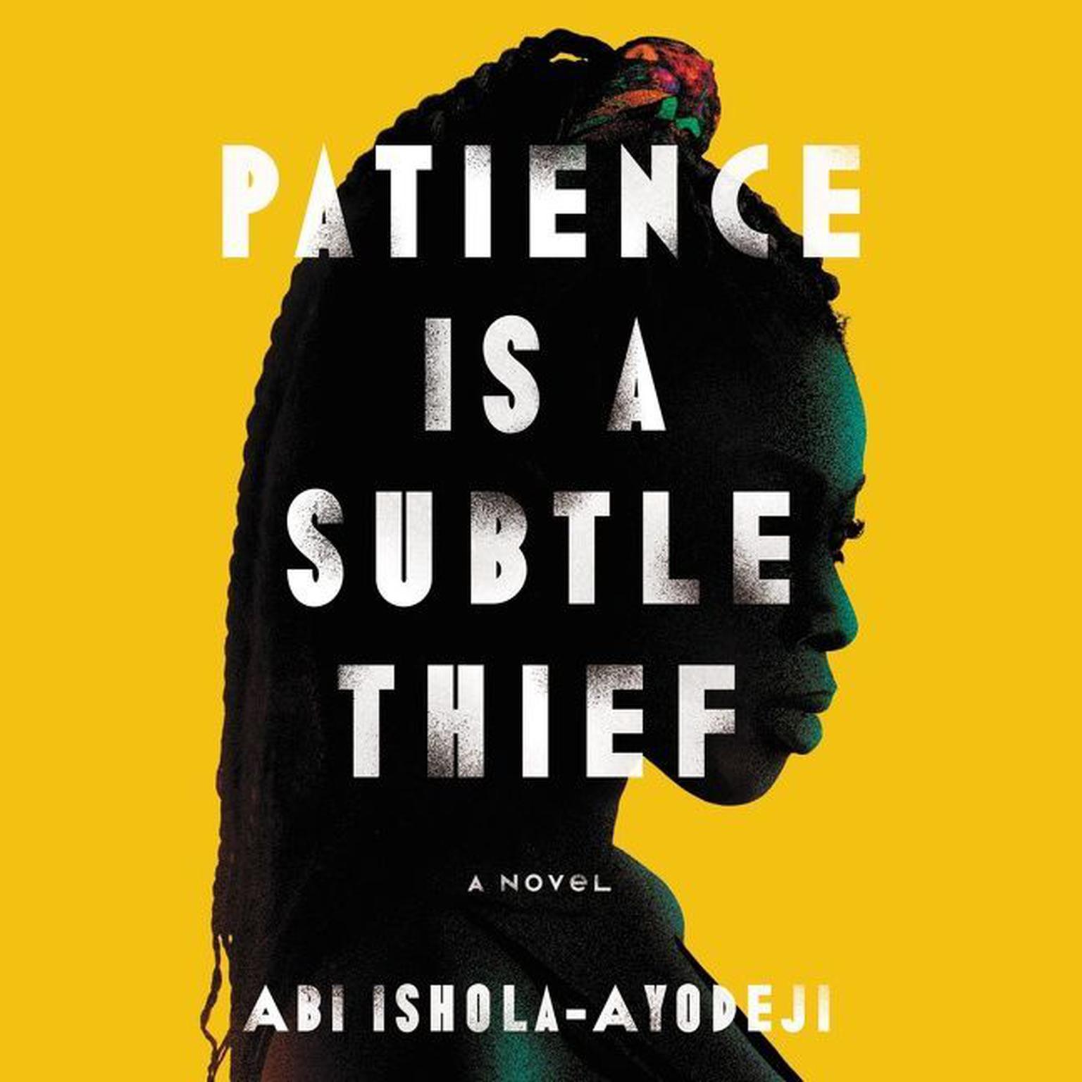 Patience Is a Subtle Thief: A Novel Audiobook, by Abi Ishola-Ayodeji