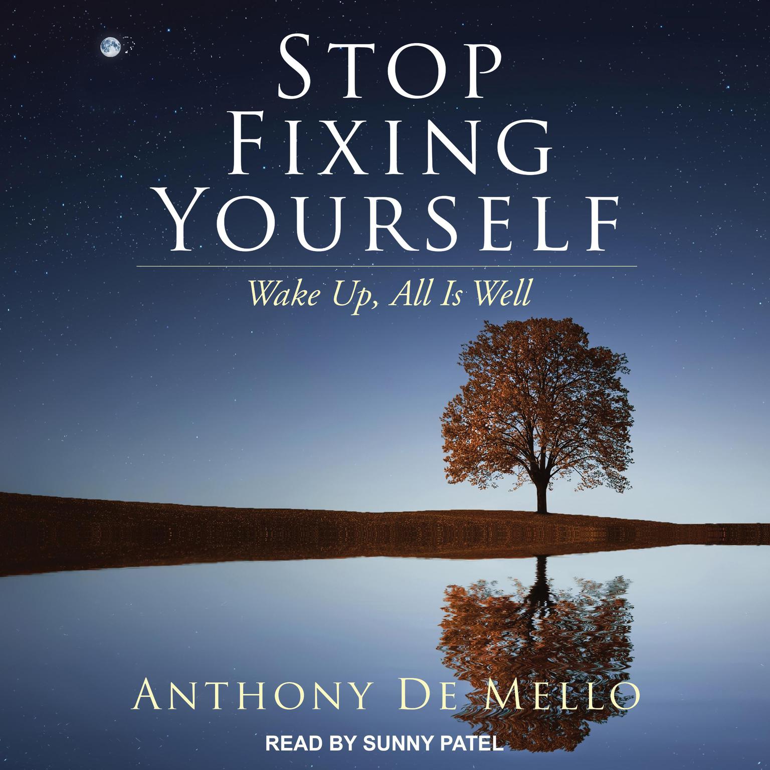Stop Fixing Yourself: Wake Up, All Is Well Audiobook, by Anthony De Mello