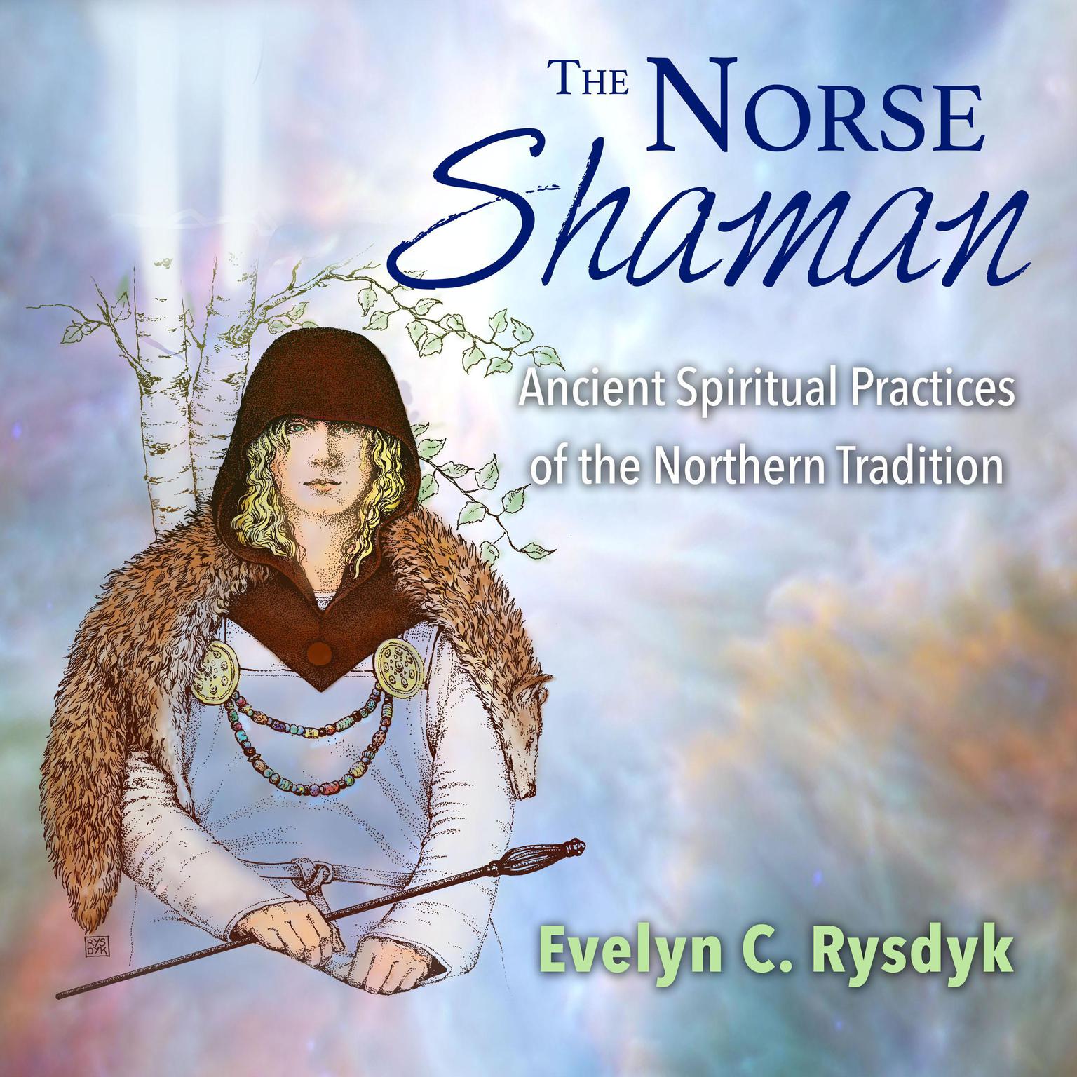 The Norse Shaman: Ancient Spiritual Practices of the Northern Tradition Audiobook, by Evelyn C. Rysdyk