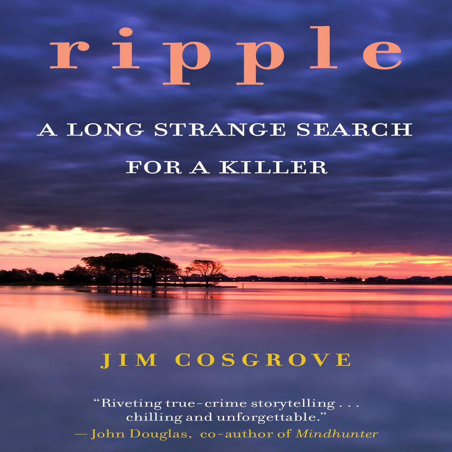 Ripple: A Long Strange Search for A Killer Audiobook, by Jim Cosgrove