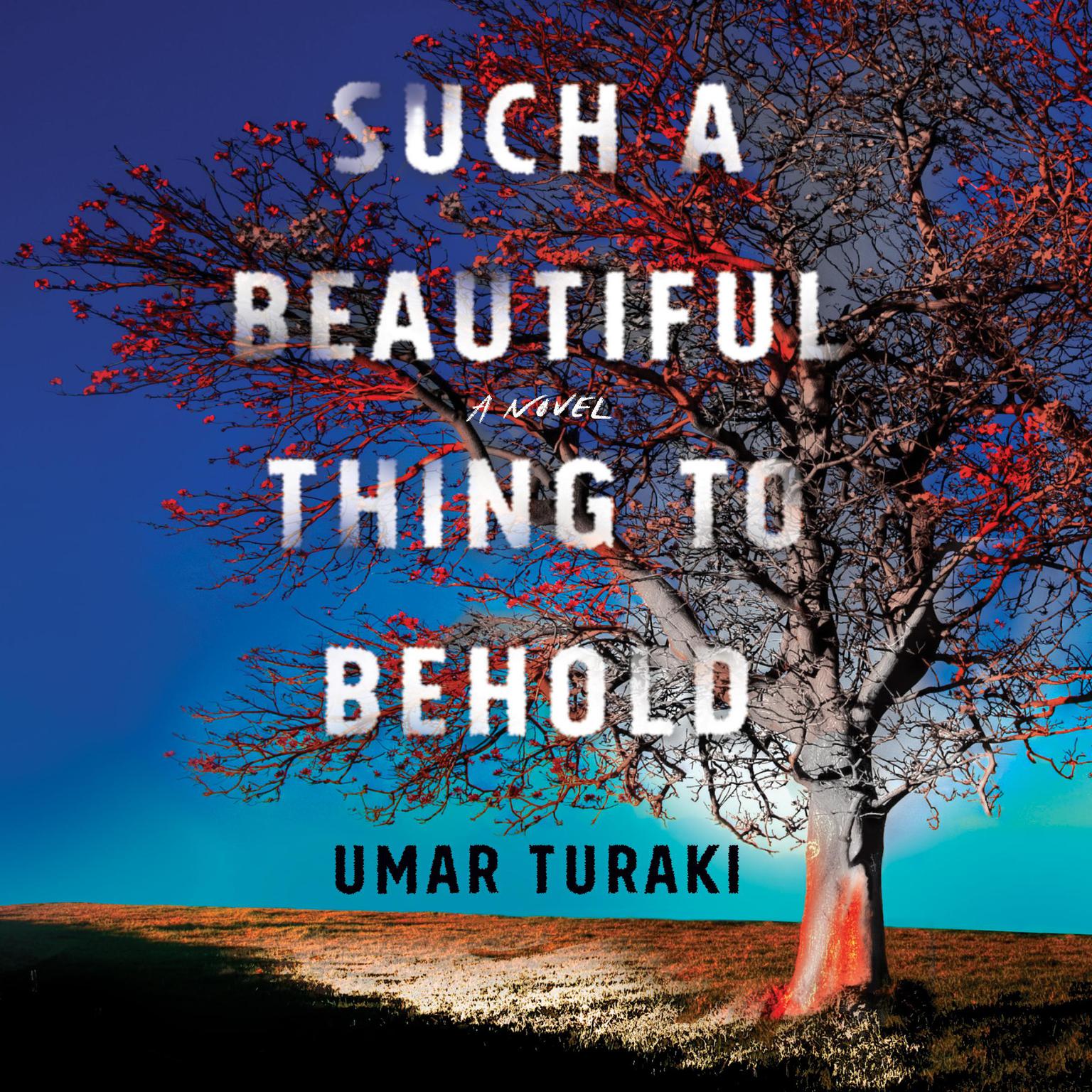 Such a Beautiful Thing to Behold Audiobook, by Umar Turaki