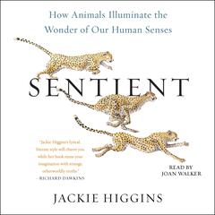 Sentient: How Animals Illuminate the Wonder of Our Human Senses Audiobook, by Jackie Higgins