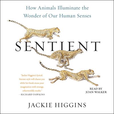 Sentient: How Animals Illuminate the Wonder of Our Human Senses Audiobook, by 