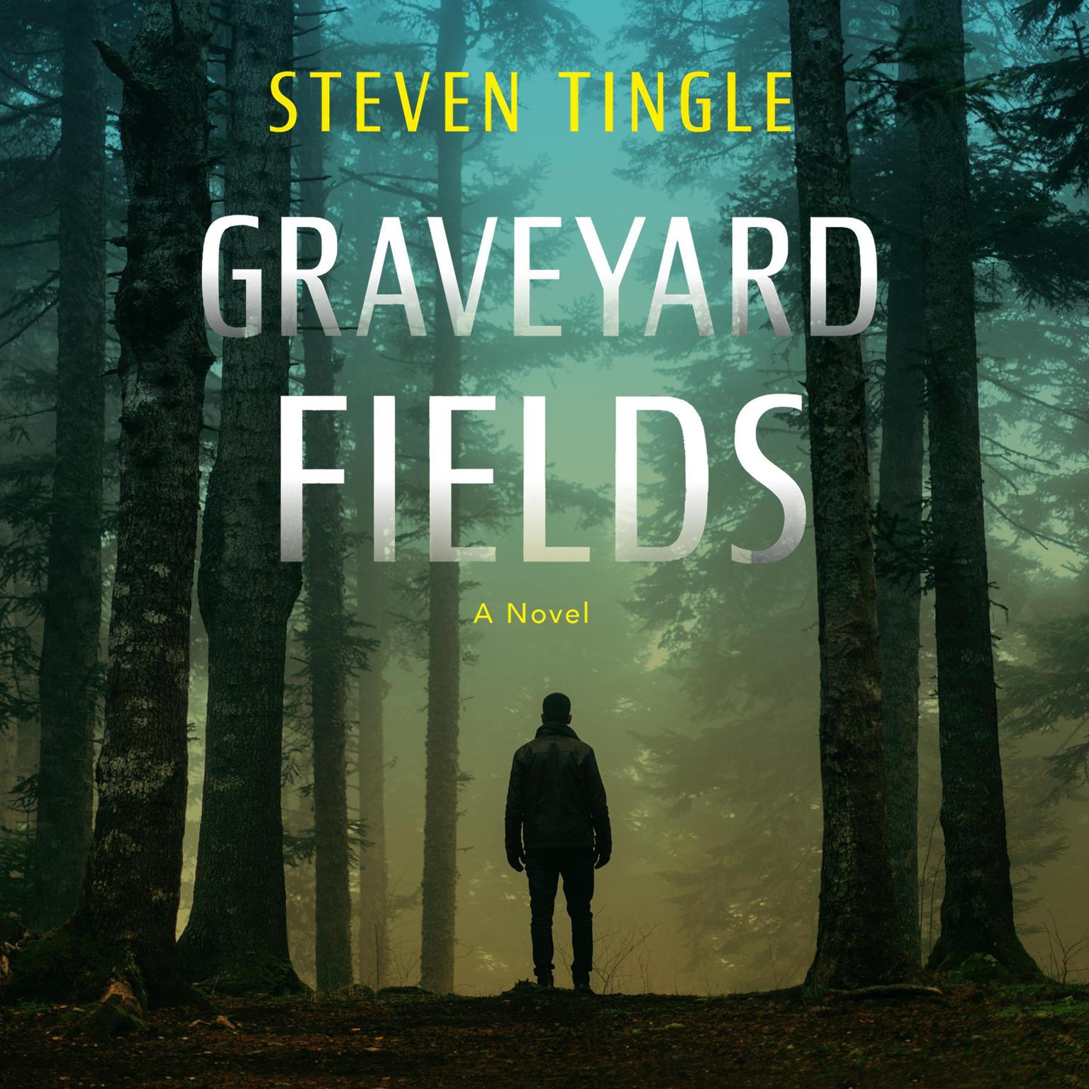 Graveyard Fields Audiobook, by Steven Tingle
