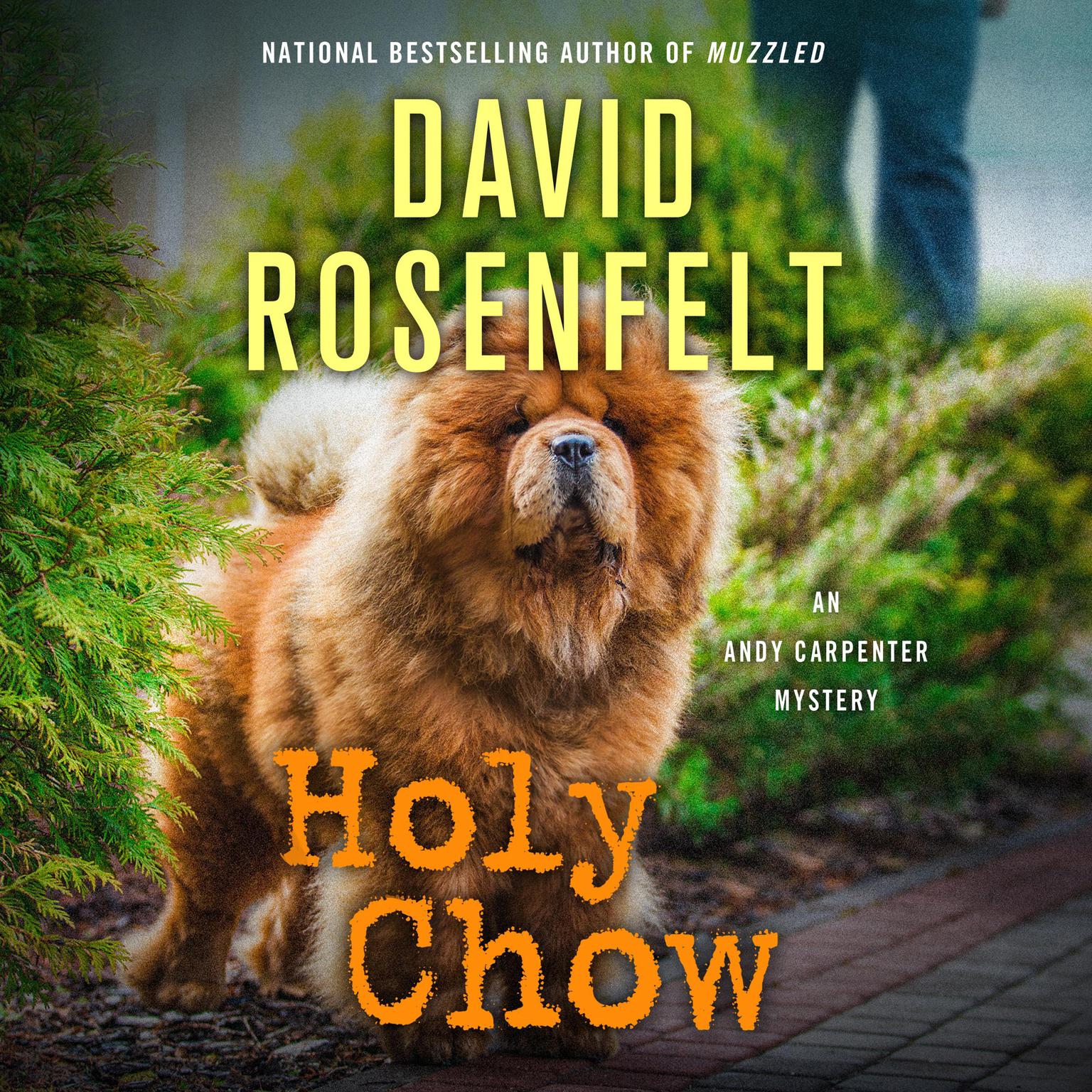 Holy Chow Audiobook, by David Rosenfelt