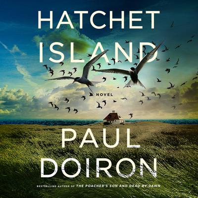 Hatchet Island Audiobook, by 