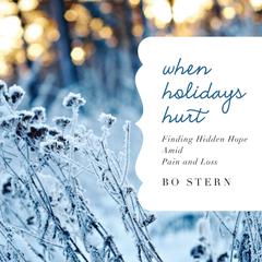 When Holidays Hurt: Finding Hidden Hope Amid Pain and Loss Audiobook, by Bo Stern