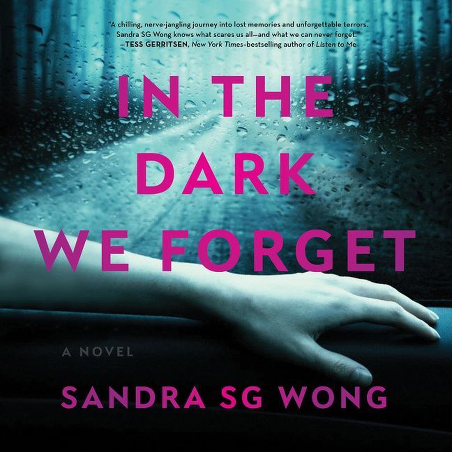 In the Dark We Forget: A Novel Audiobook, by Sandra S.G. Wong