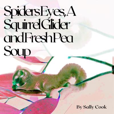 Spiders Eyes, A Squirrel Glider and Fresh Pea Soup Audiobook, by Sally Cook