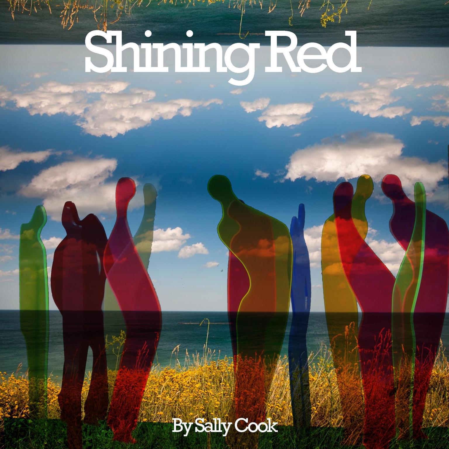 Shining Red Audiobook, by Sally Cook