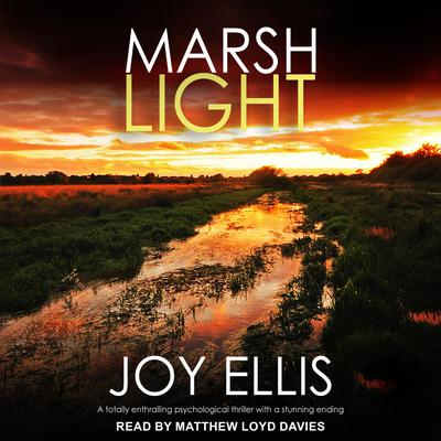 Marshlight Audiobook, by Joy Ellis