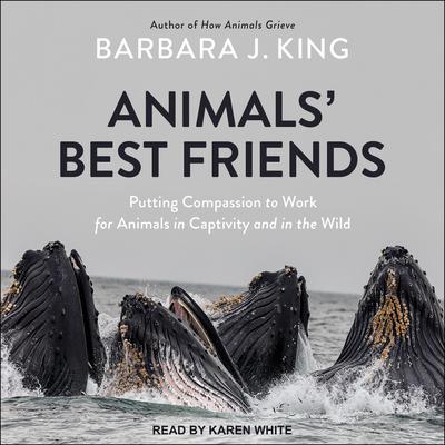 Animals Best Friends: Putting Compassion to Work for Animals in Captivity and in the Wild Audiobook, by Barbara J. King