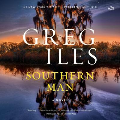 Southern Man: A Novel Audiobook, by Greg Iles