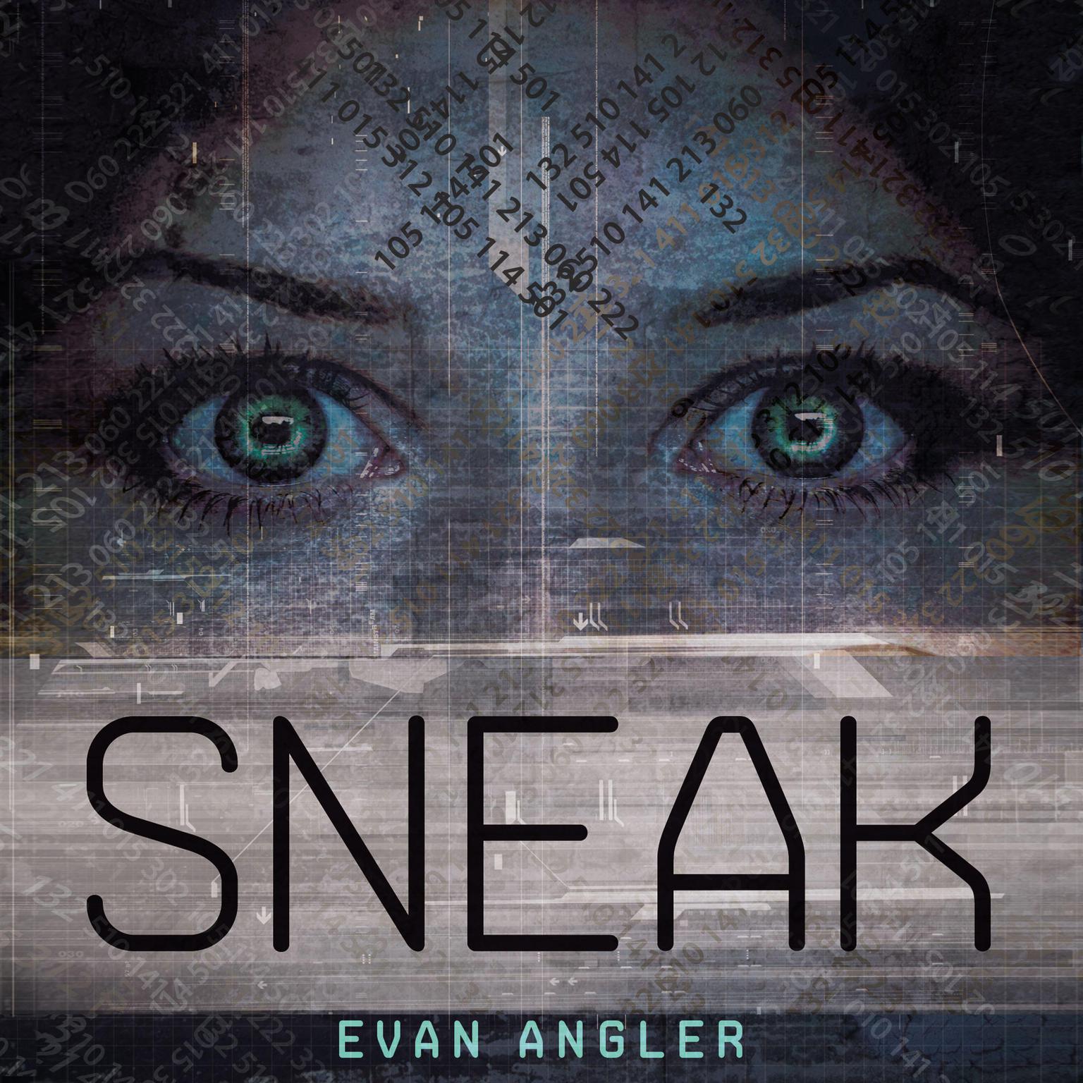 Sneak Audiobook, by Evan Angler