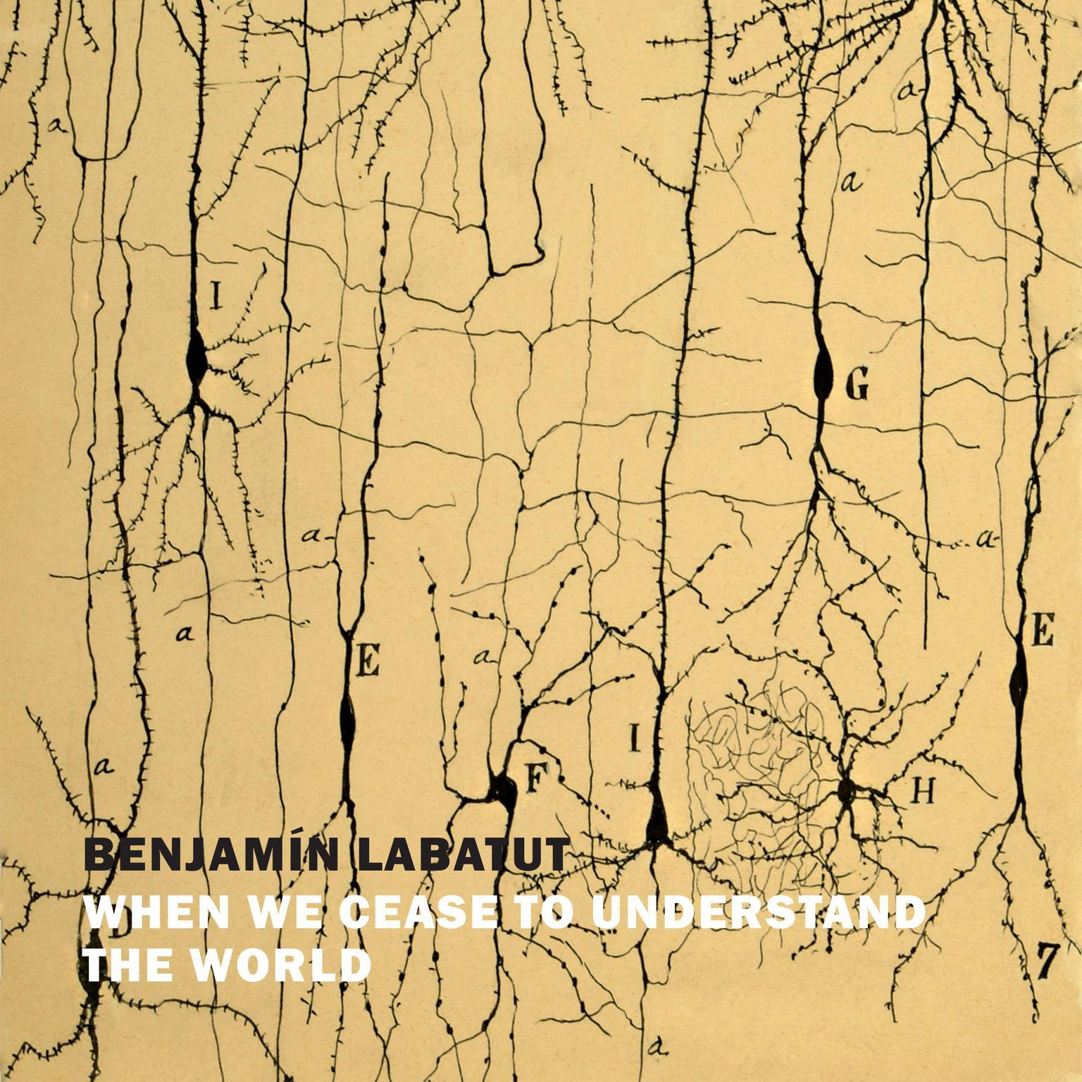 When We Cease to Understand the World Audiobook, by Benjamin Labatut