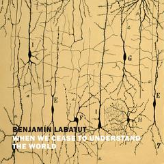 When We Cease to Understand the World Audiobook, by Benjamin Labatut