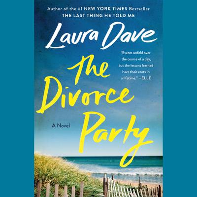 The Divorce Party: A Novel Audiobook, by Laura Dave