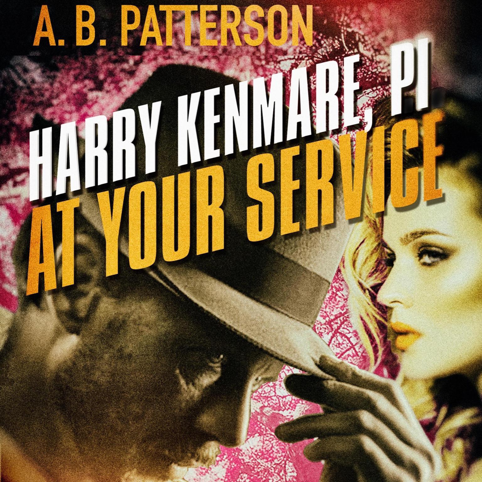 Harry Kenmare, PI - At Your Service Audiobook, by A.B. Patterson