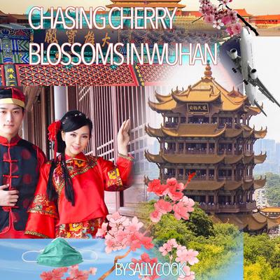 Chasing Cherry Blossoms in Wuhan Audiobook, by Sally Cook