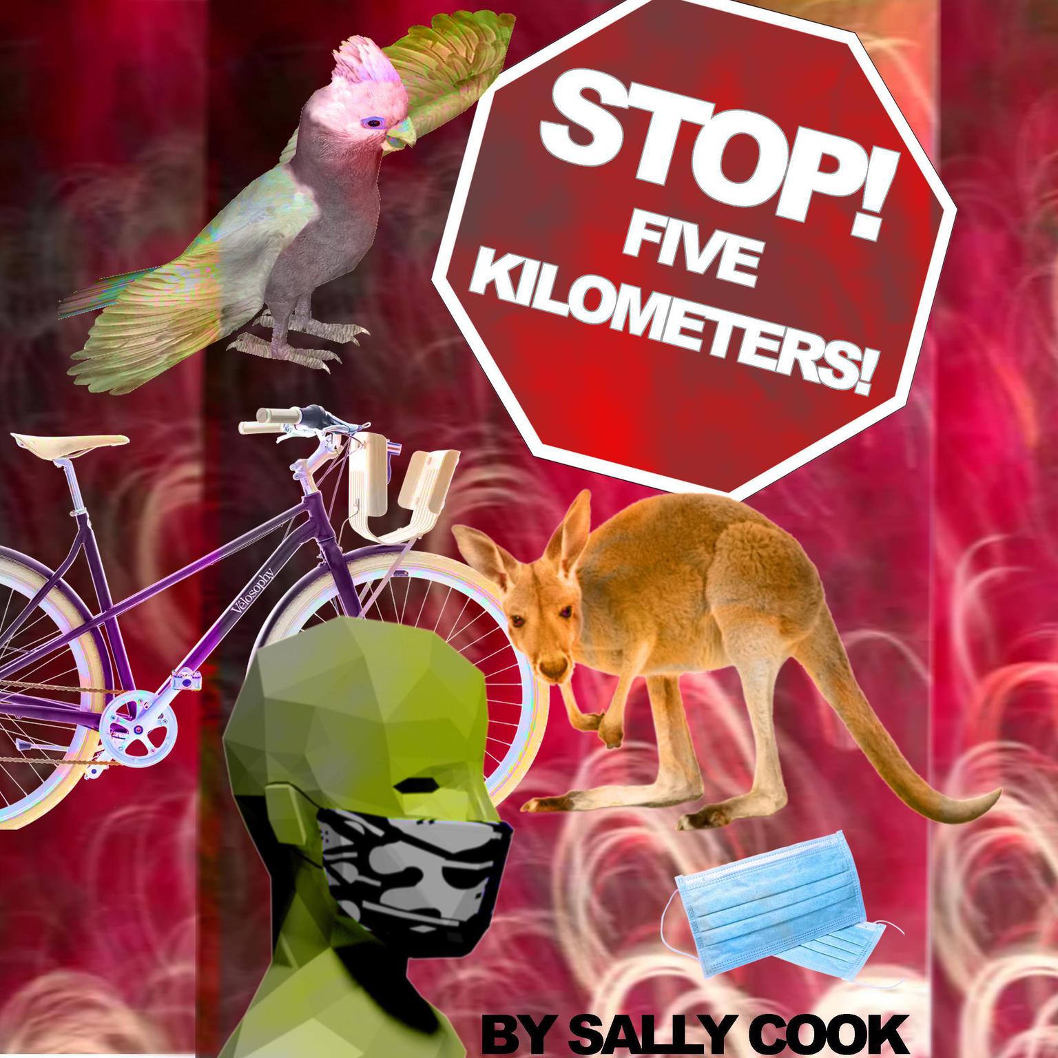 Stop! Five Kilometers ! Audiobook, by Sally Cook