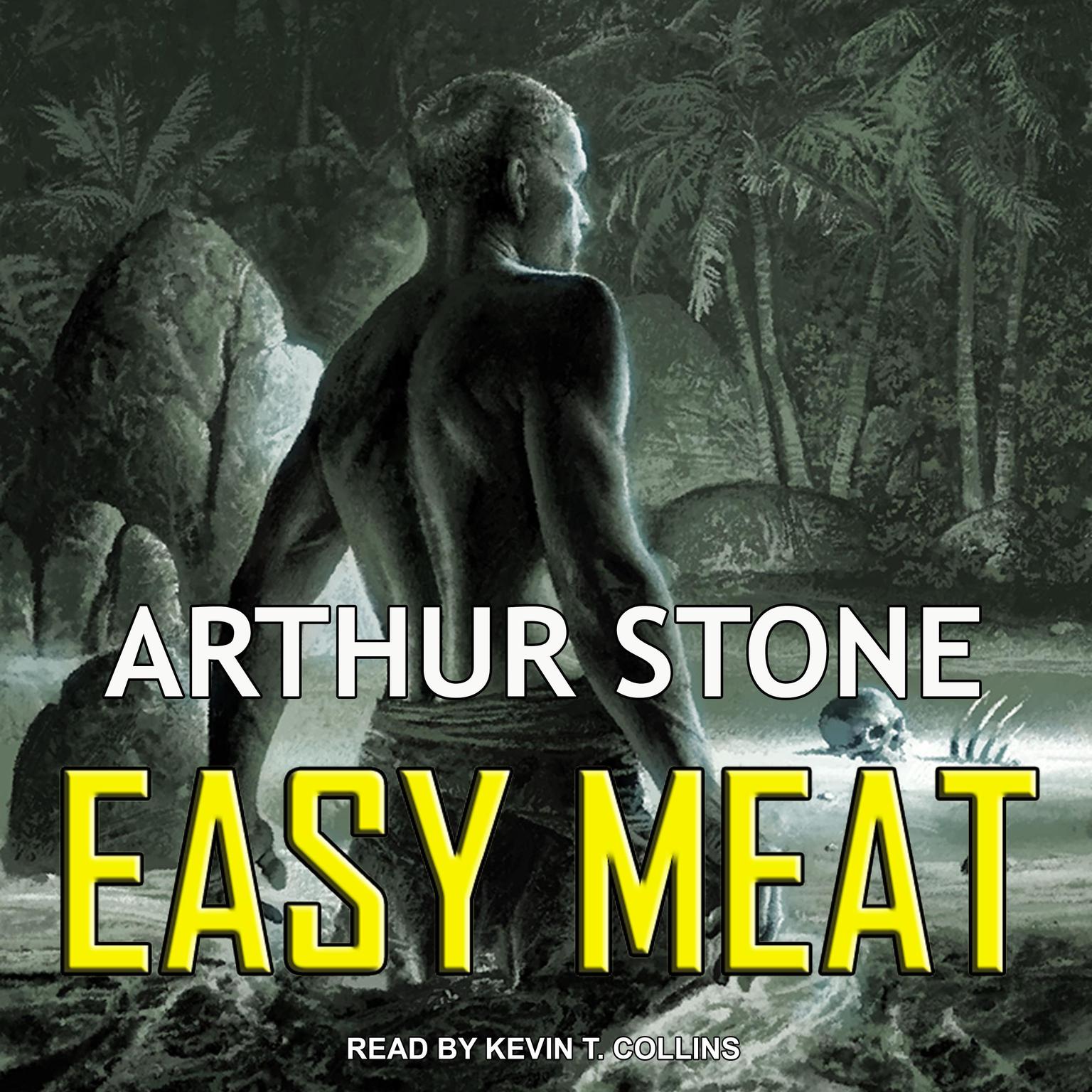 Easy Meat Audiobook, by Arthur Stone