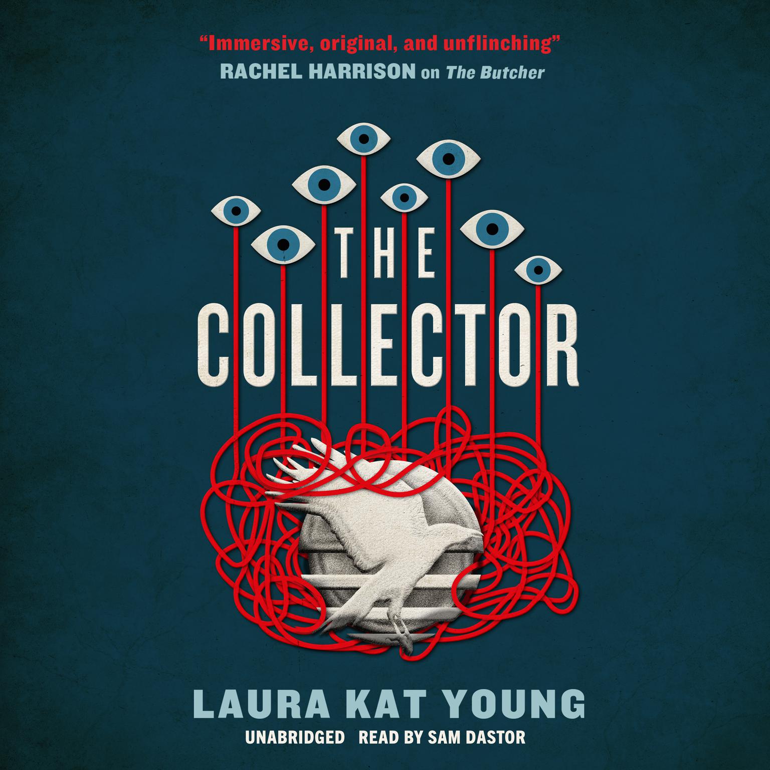 The Collector Audiobook, by Laura Kat Young