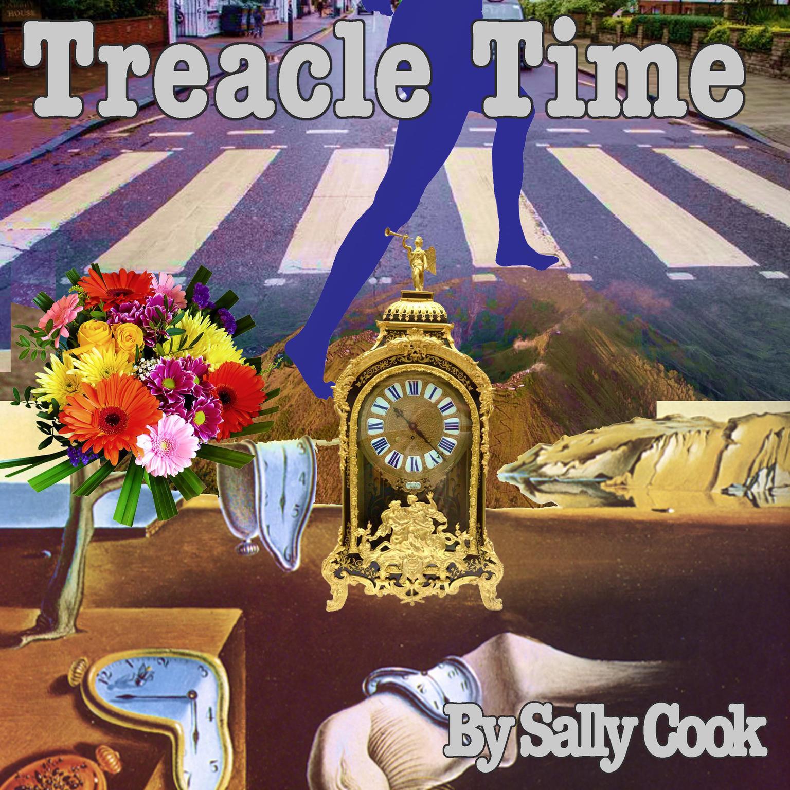 Treacle Time Audiobook, by Sally Cook