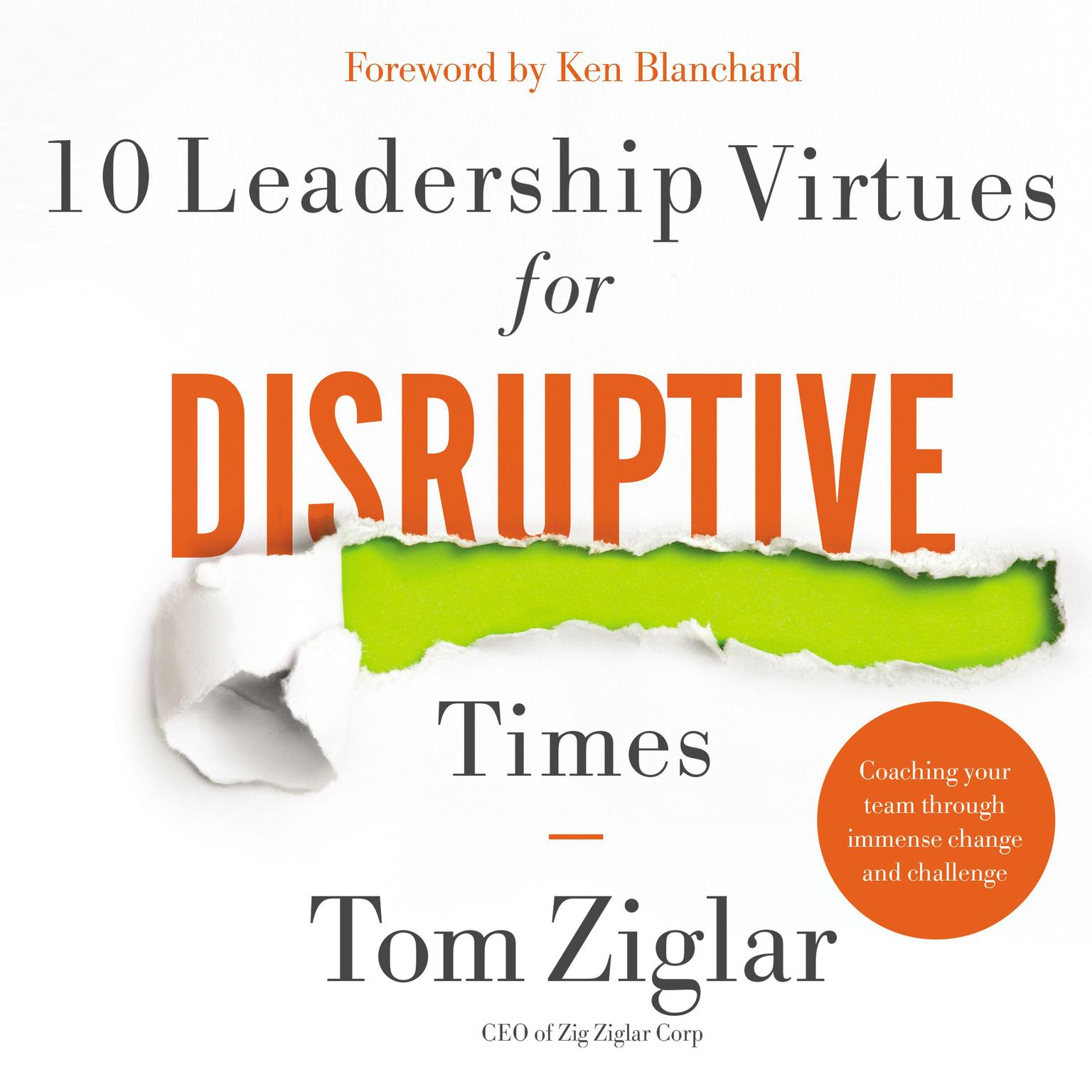 10 Leadership Virtues for Disruptive Times: Coaching Your Team Through Immense Change and Challenge Audiobook