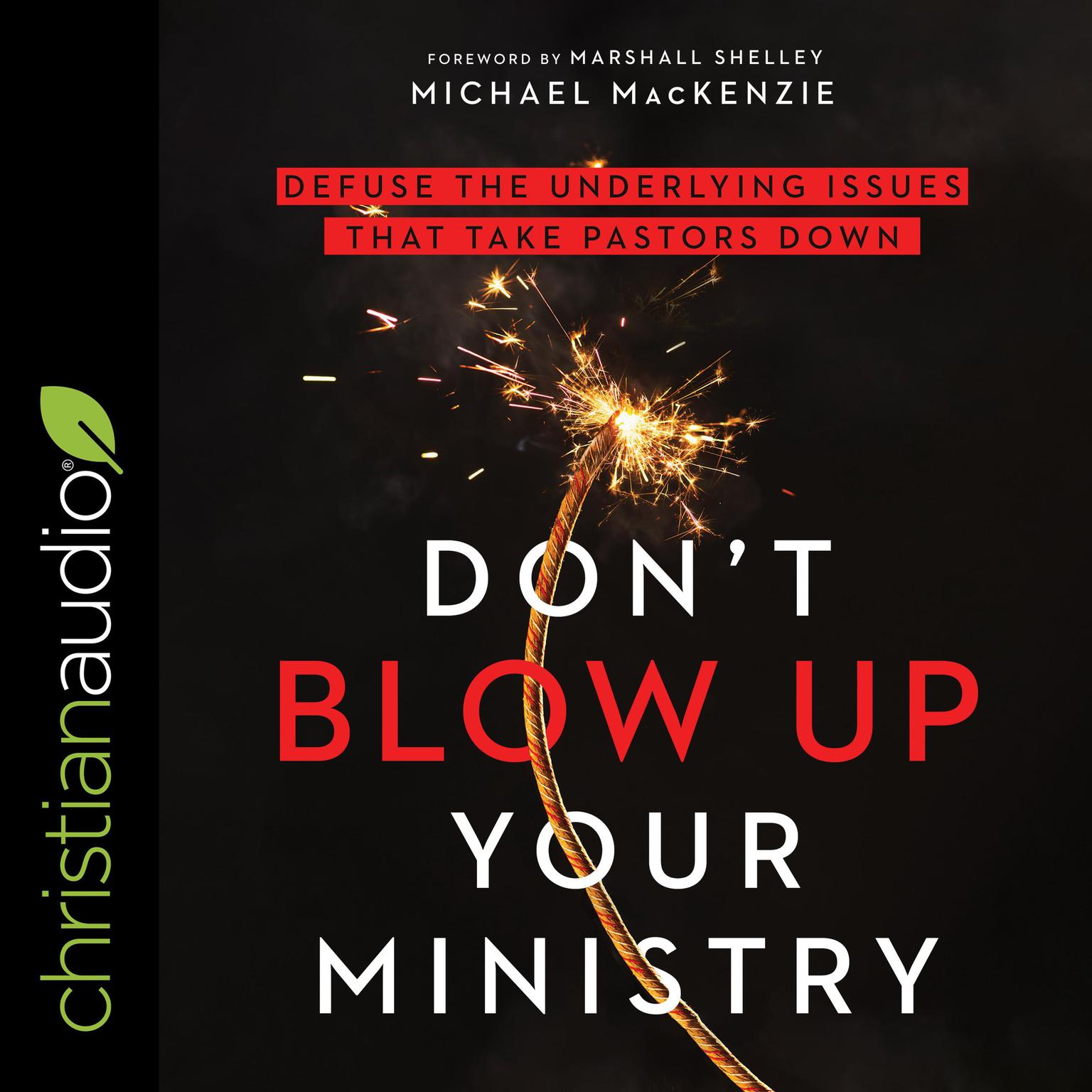 Dont Blow Up Your Ministry: Defuse the Underlying Issues That Take Pastors Down Audiobook, by Michael MacKenzie