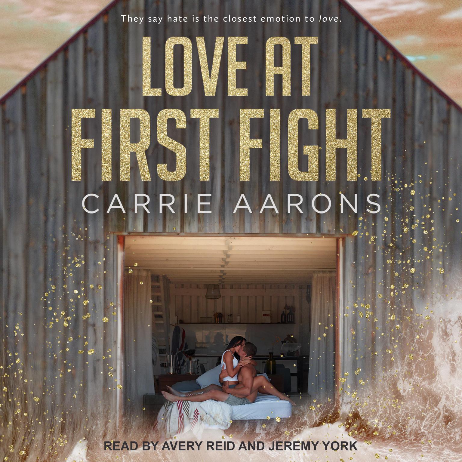 Love at First Fight Audiobook, by Carrie Aarons
