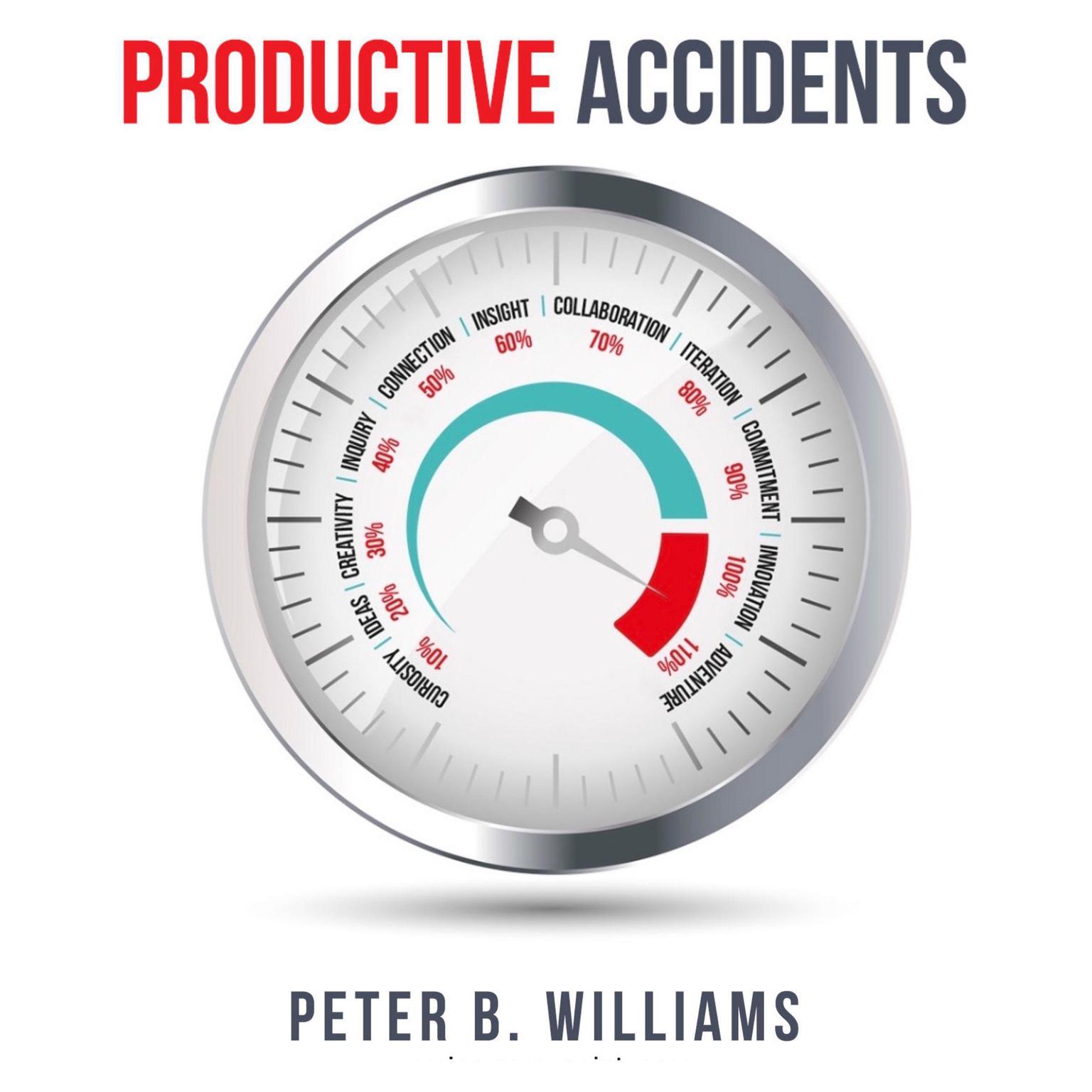 Productive Accidents (Abridged): a playbook for personal & professional adventure Audiobook, by Peter B. Williams