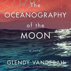 The Oceanography of the Moon: A Novel Audiobook, by Glendy Vanderah
