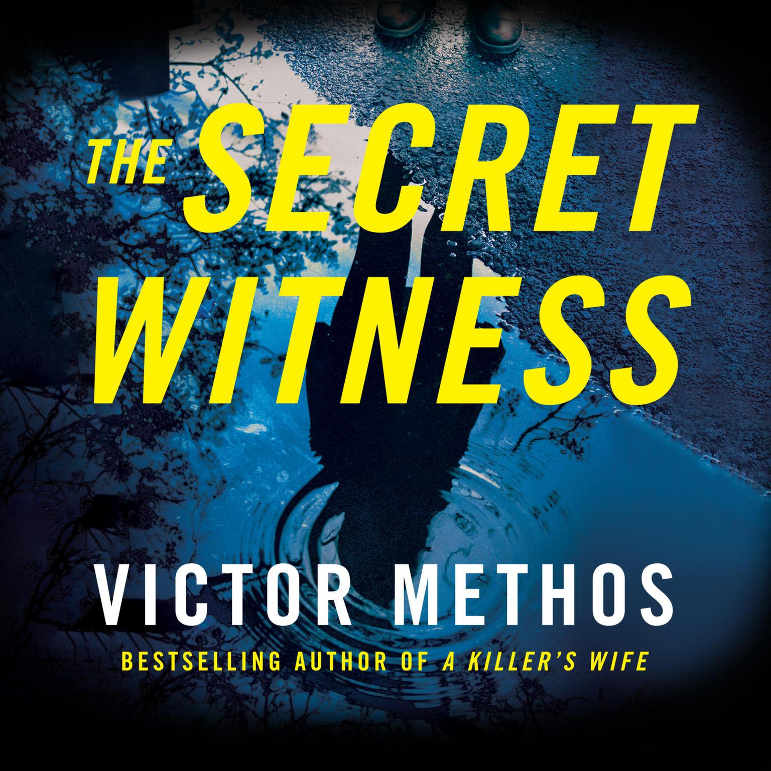 The Secret Witness Audiobook, by Victor Methos