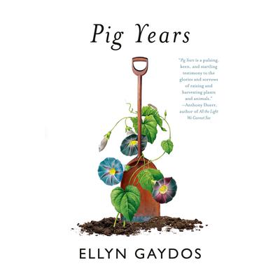 Pig Years Audiobook, by Ellyn Gaydos