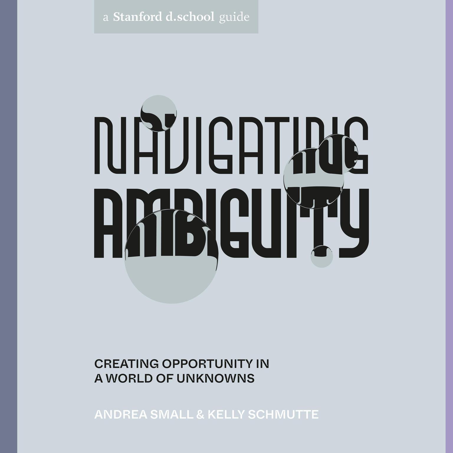 Navigating Ambiguity: Creating Opportunity in a World of Unknowns Audiobook