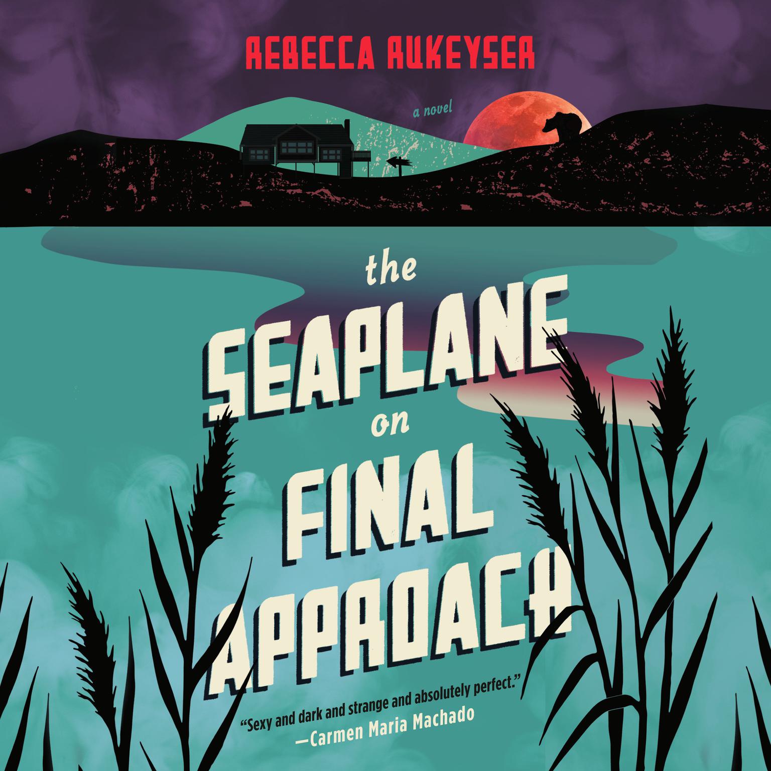 The Seaplane on Final Approach: A Novel Audiobook, by Rebecca Rukeyser