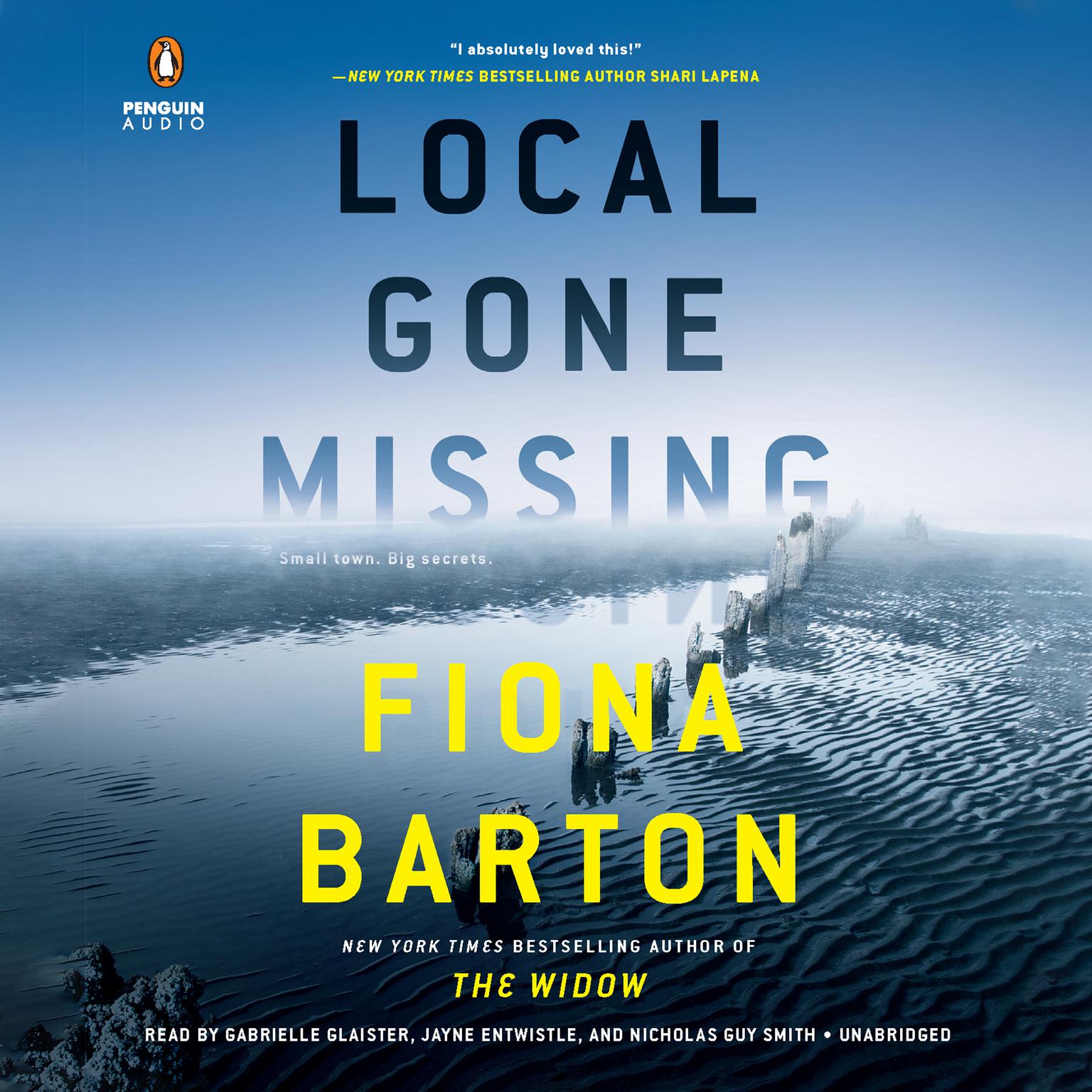 Local Gone Missing Audiobook, by Fiona Barton