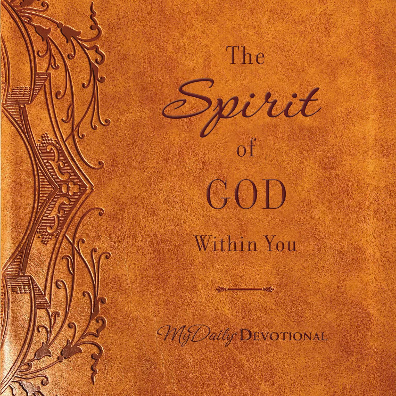 The Spirit of God Within You Audiobook, by Thomas Nelson