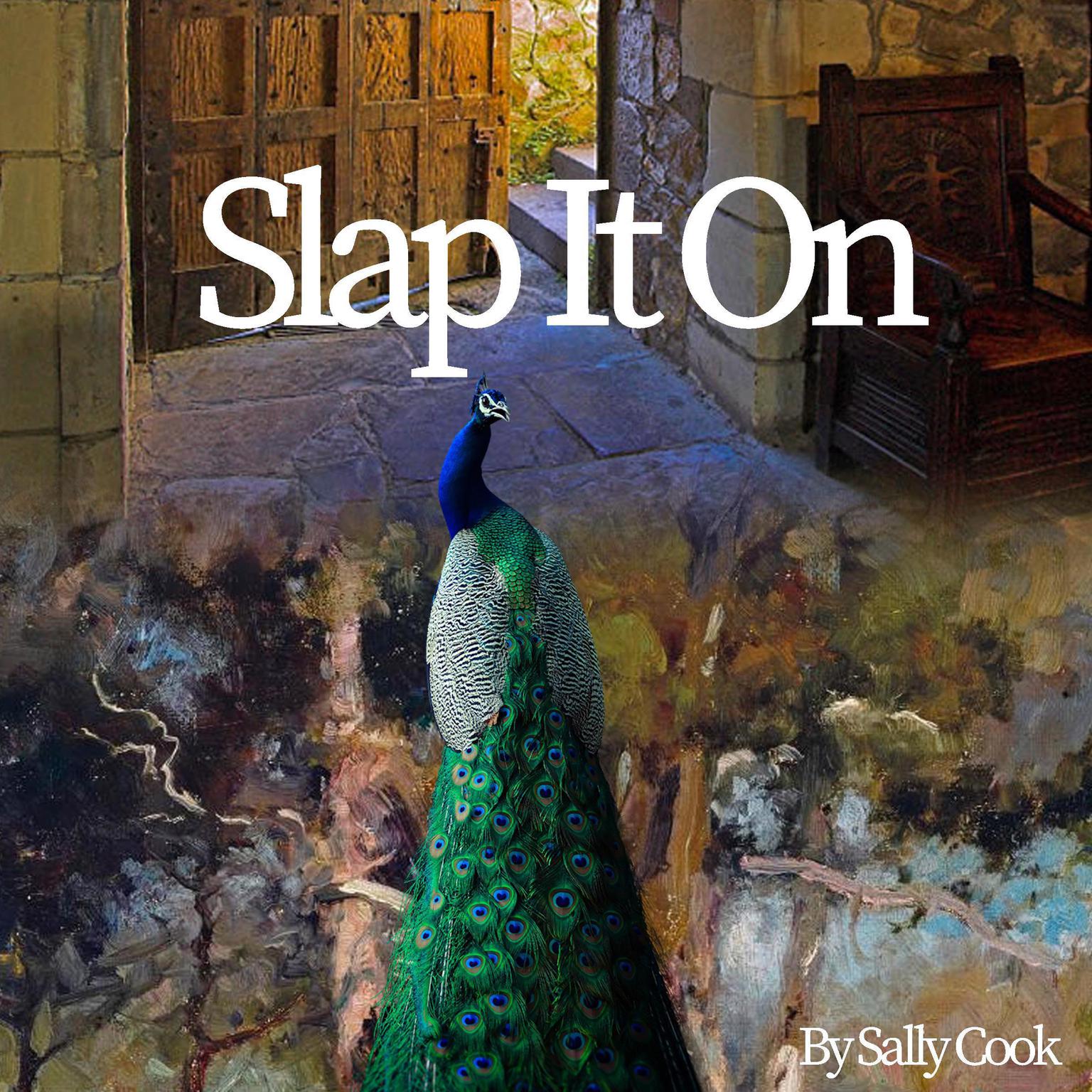 Slap It On! Audiobook, by Sally Cook