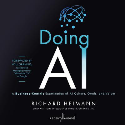 Doing AI: A Business-Centric Examination of AI Culture, Goals, and Values Audiobook, by Richard Heimann
